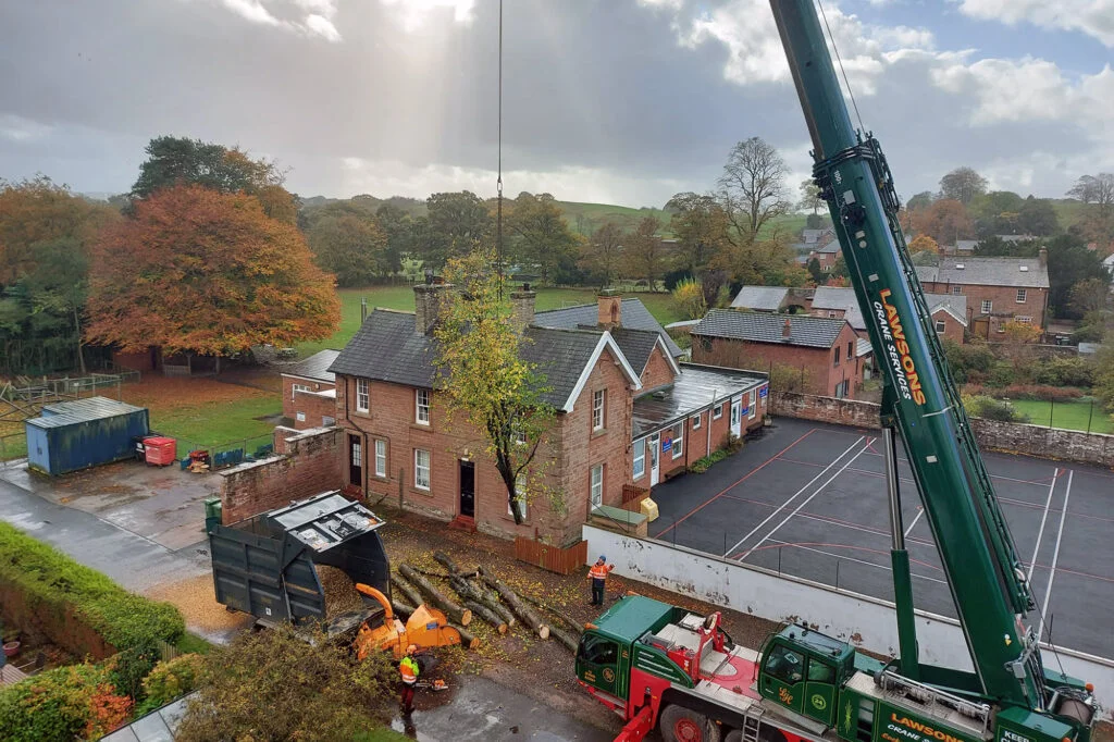 Tree Surgeon, Tree Surgery, Tree Services & Arborist in Carlisle and Cumbria.