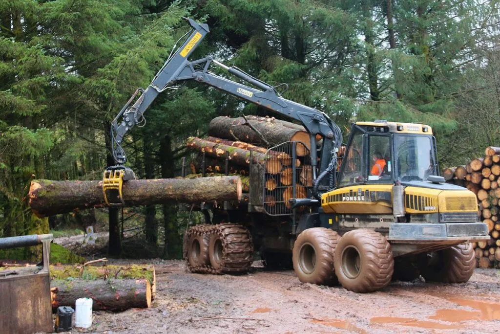 Logging machine loading logs in Carlisle.
