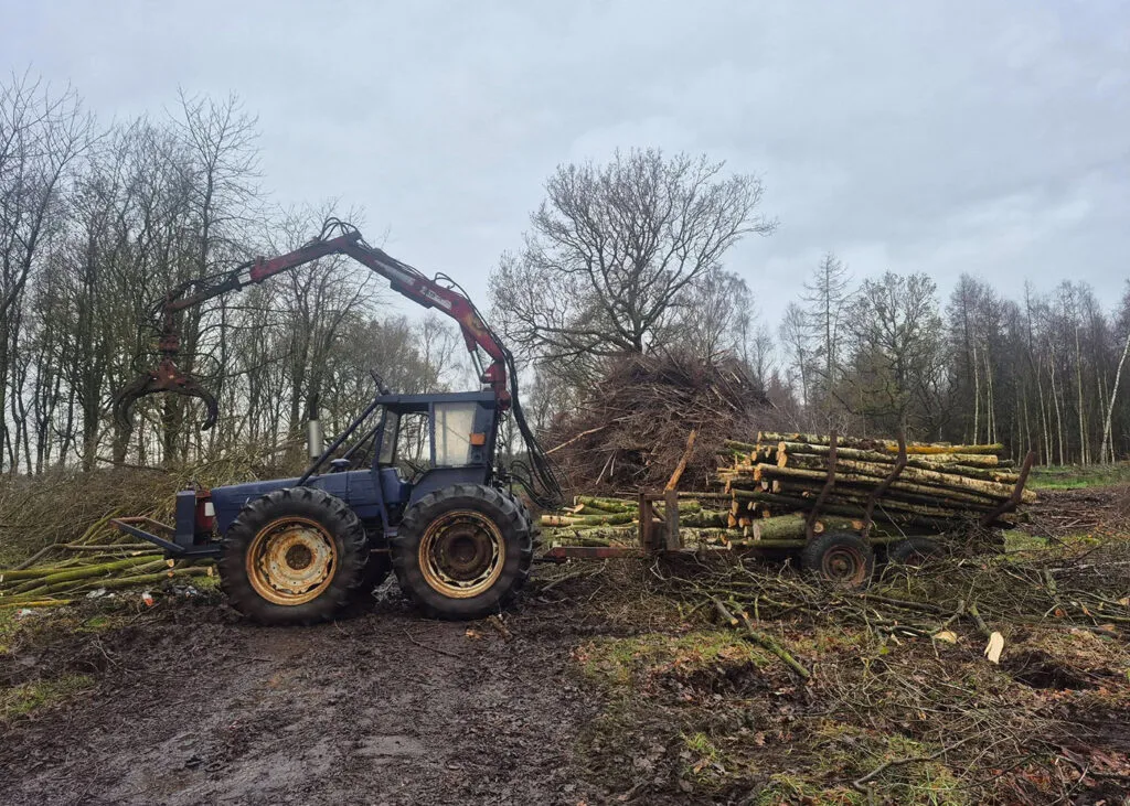 Forestry services in Carlisle & Cumbria.