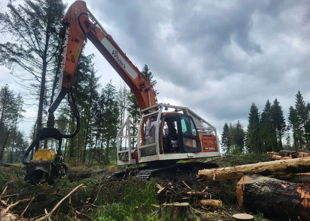 Forestry services in Carlisle & Cumbria.