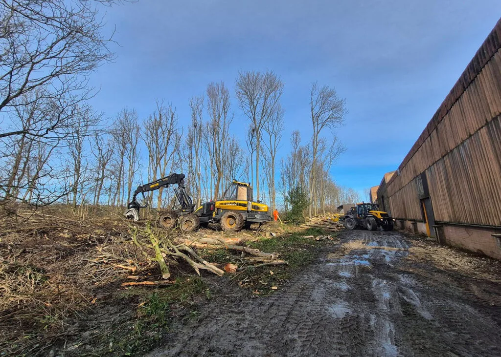 Forestry services in Carlisle & Cumbria.