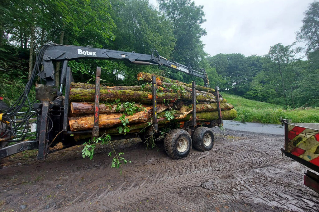 Forestry services in Carlisle & Cumbria.