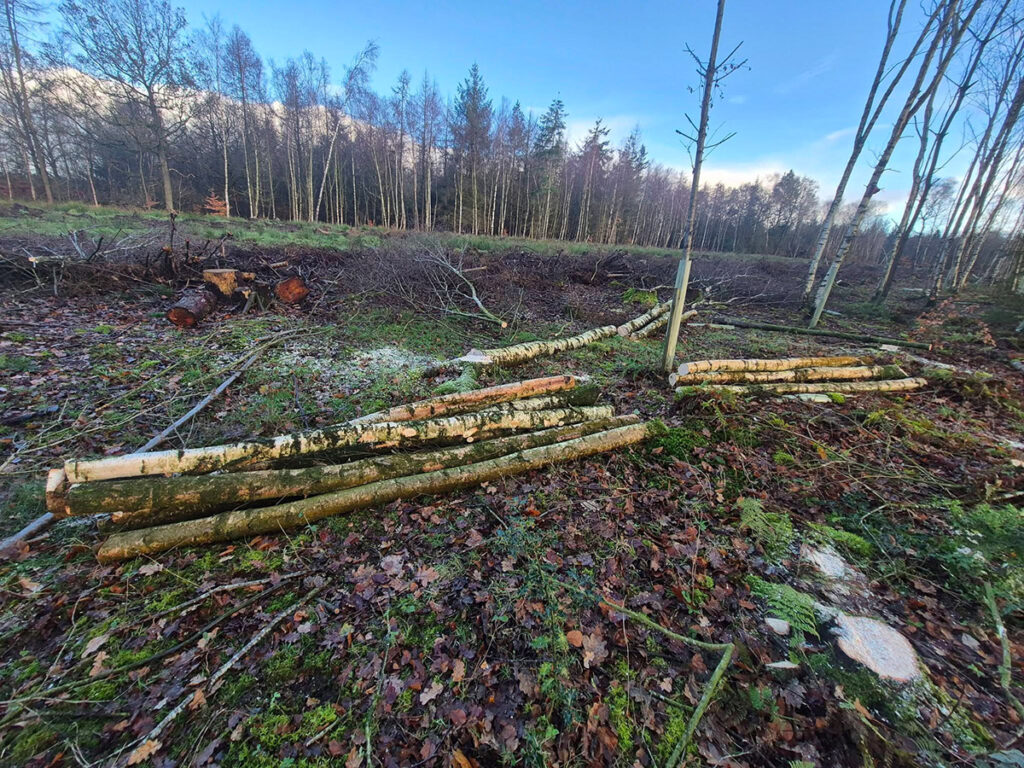 Firewood for sale in Carlisle and Cumbria.