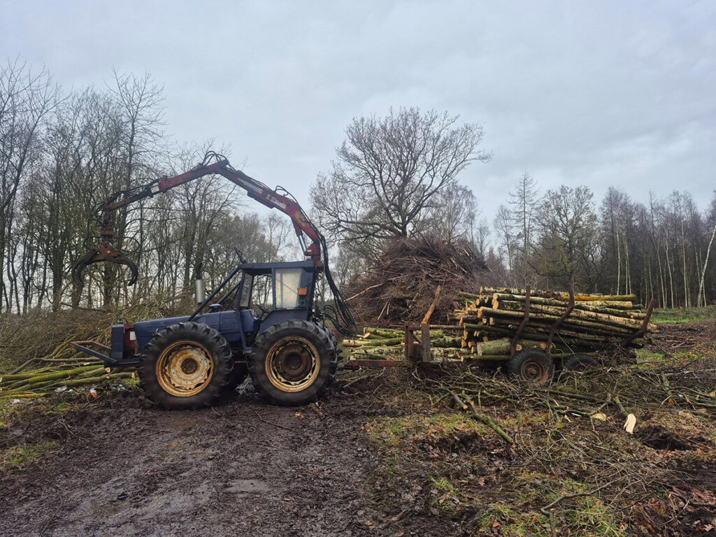 Firewood for sale in Carlisle and Cumbria.