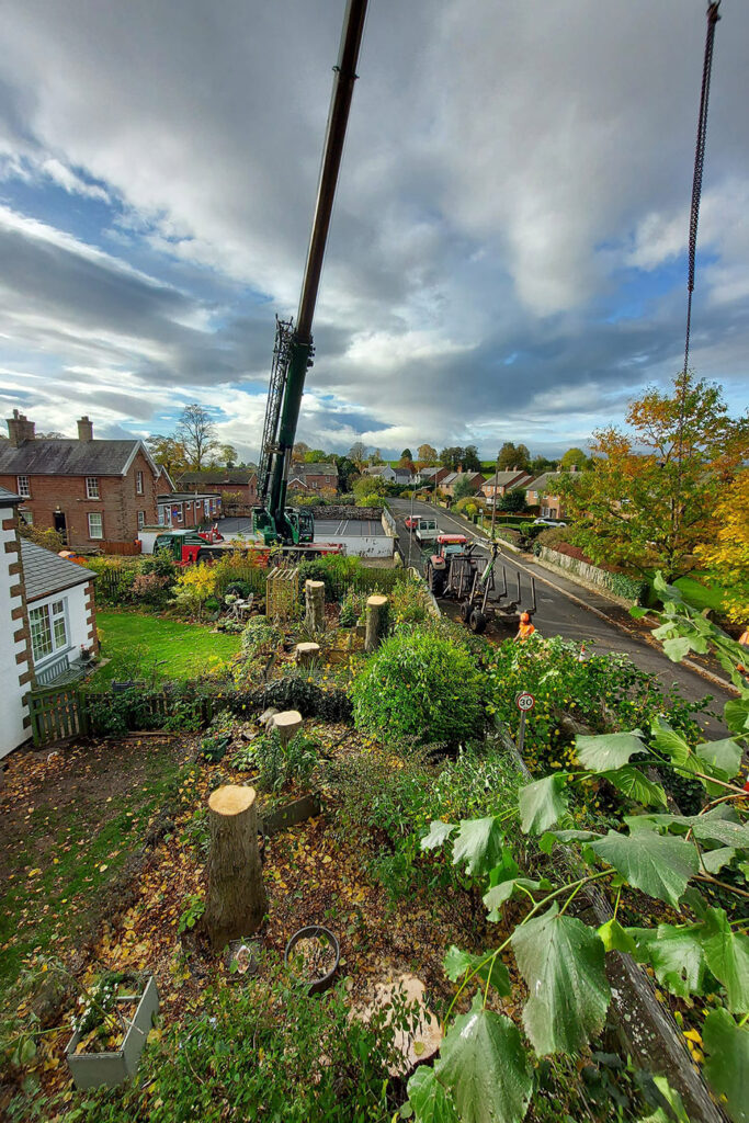 Tree removal with crane in Carlisle.