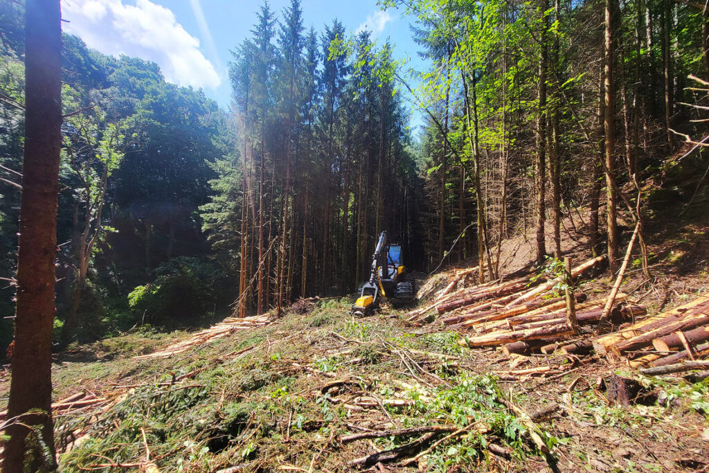 Forestry equipment in woods
