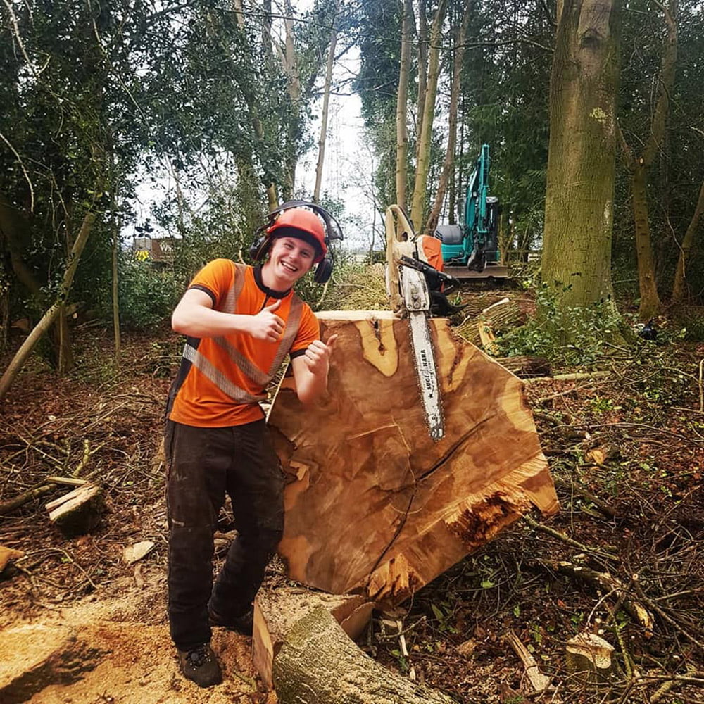 Tree Surgeon, Tree Surgery, Tree Services & Arborist in Carlisle and Cumbria.