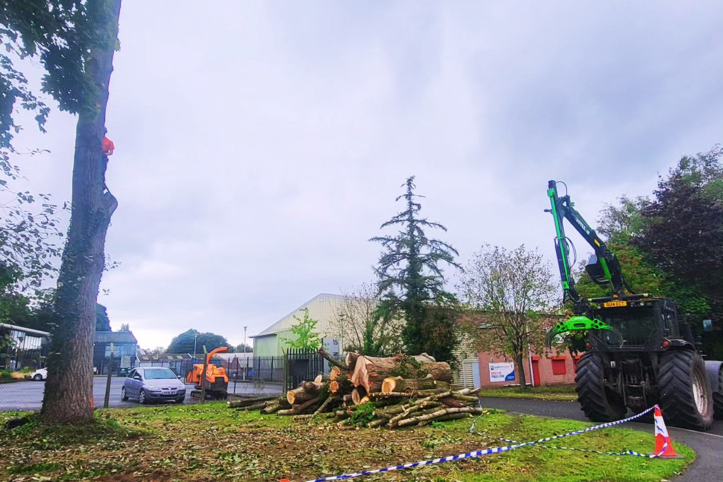 Tree removal operation underway in Carlisle.
