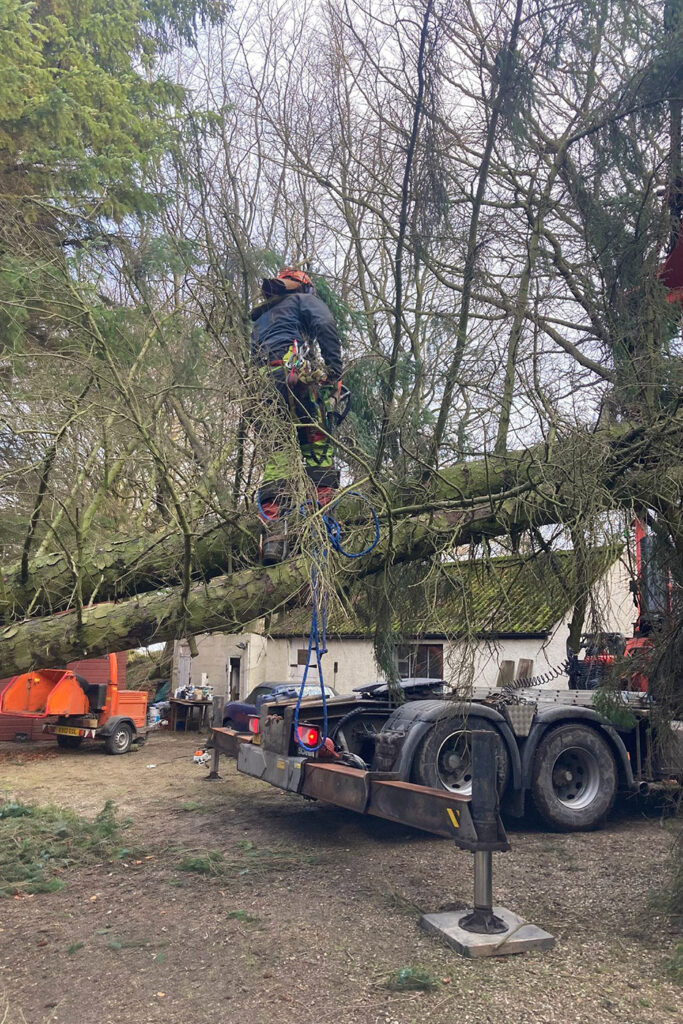 Emergency tress services