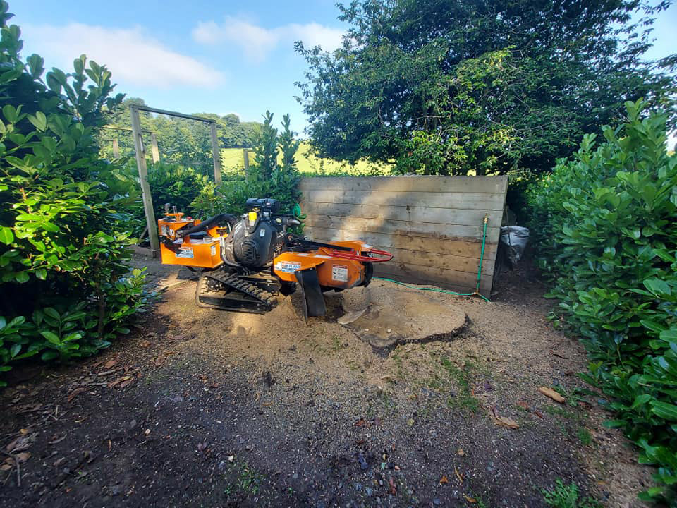 Orange stump grinder in yard