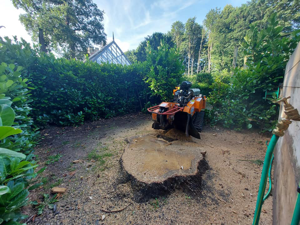 Stump grinder in garden