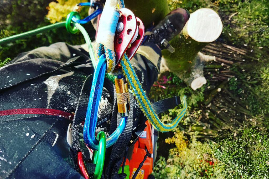 Arborist climbing gear safety detail