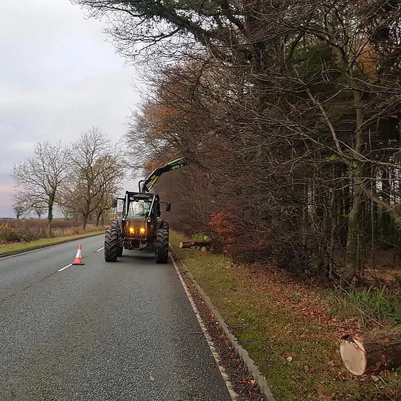Tractor clearing roadside trees