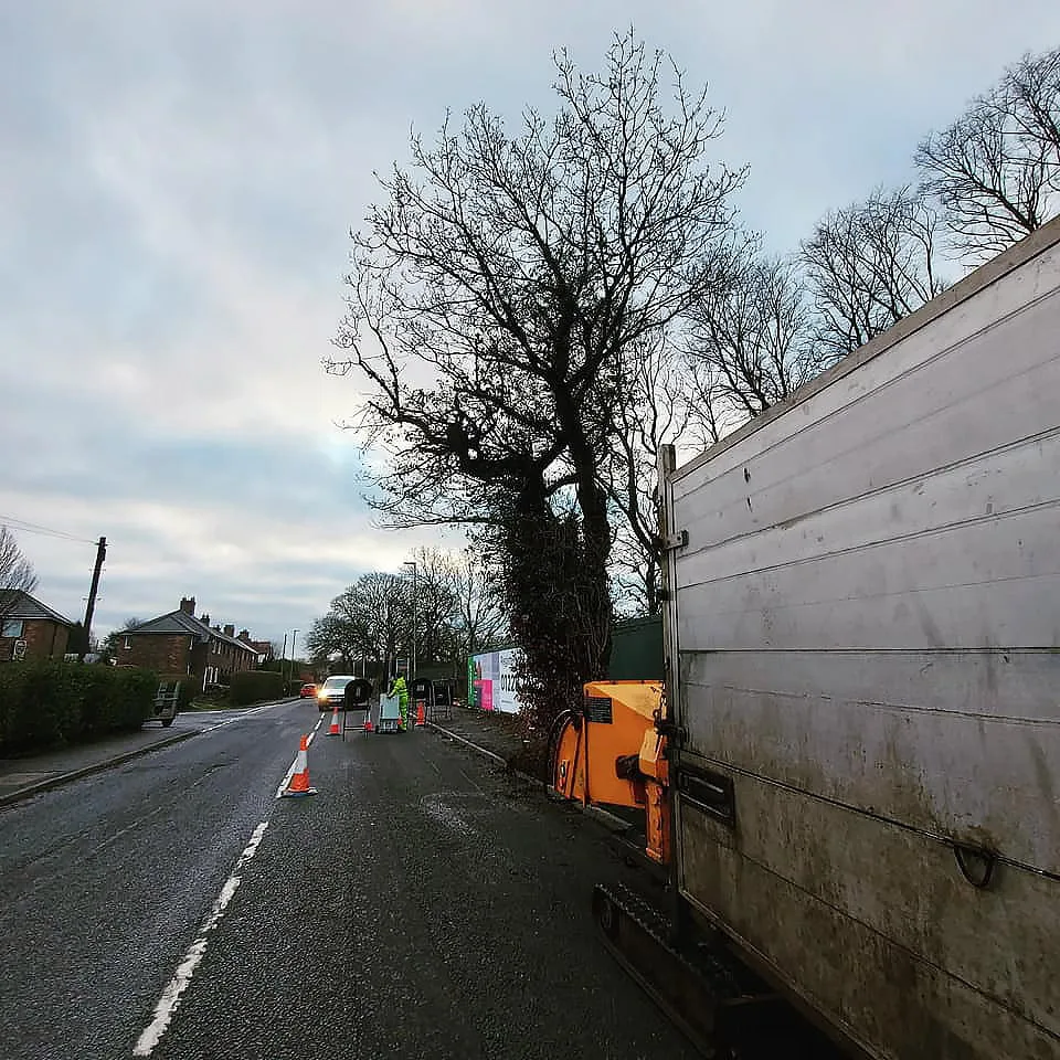Street work with tree removal