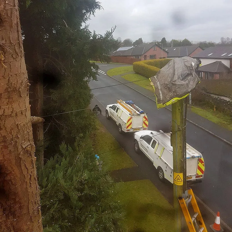 Utility workers on street